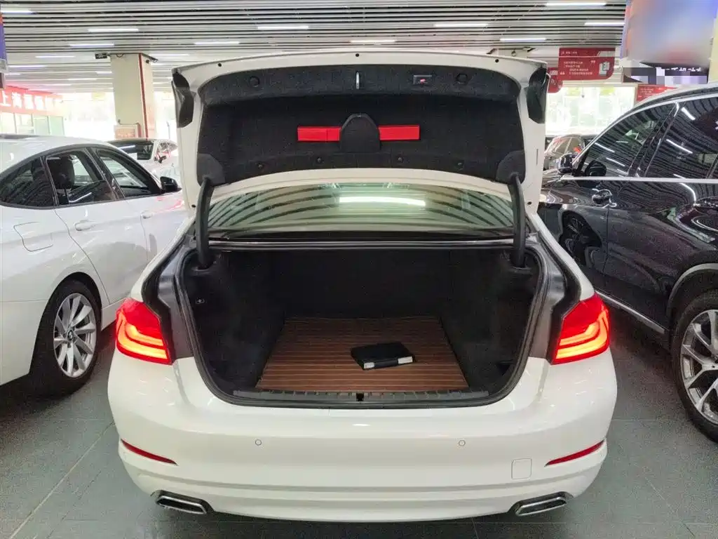BMW 5 Series 2018 528Li Launch Special Edition фото 19
