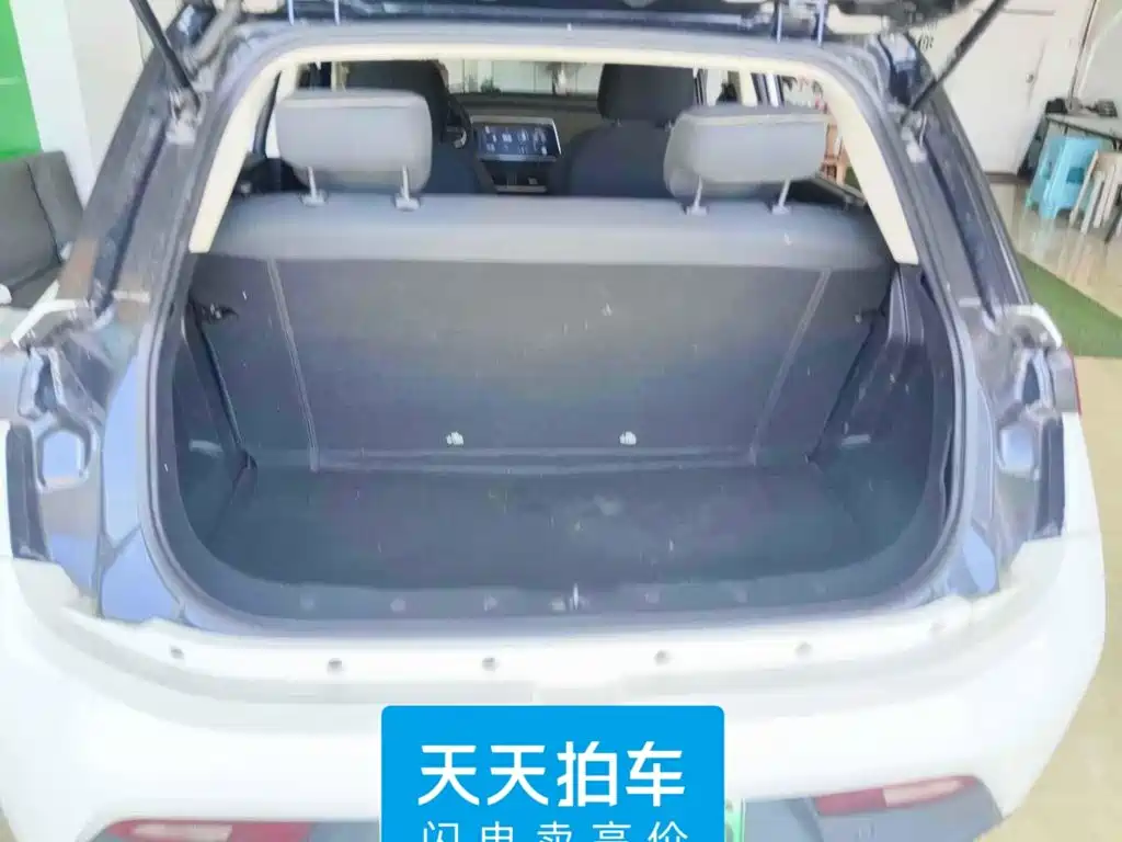 Electric House YOUNG Guang Xiaoxin 2022 2021 S400 4-Seater