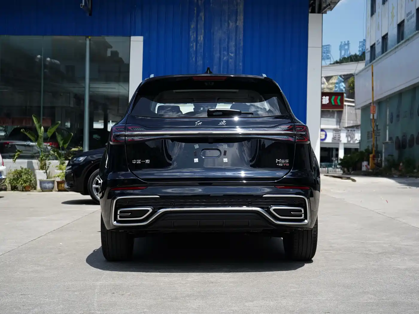Hongqi HS5 2025 2025 2.0T 2WD Qixiang Pro