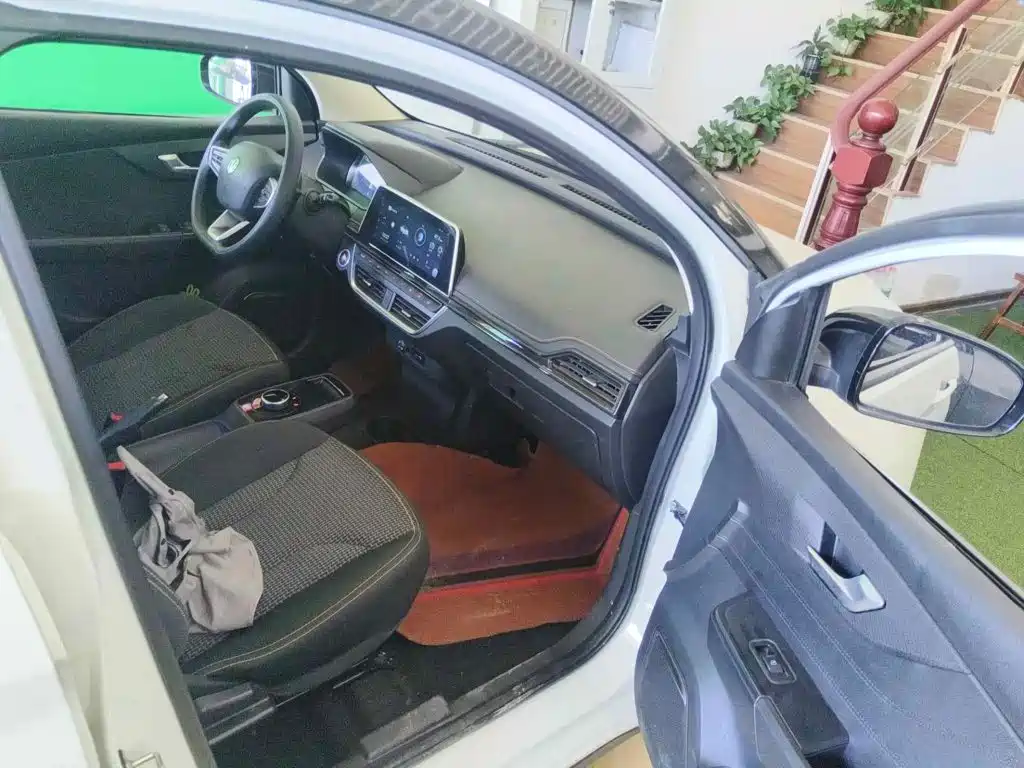 Electric House YOUNG Guang Xiaoxin 2022 2021 S400 4-Seater