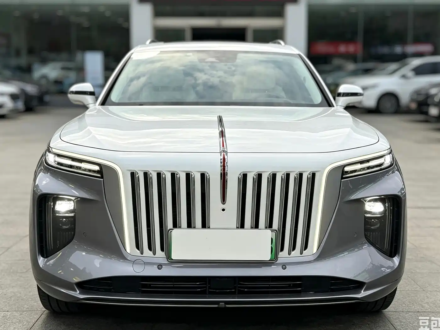 Hongqi E-HS9 2022 2021 510km Flagship Edition 4-seater