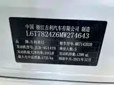 Фото 18 - Geely Binrui