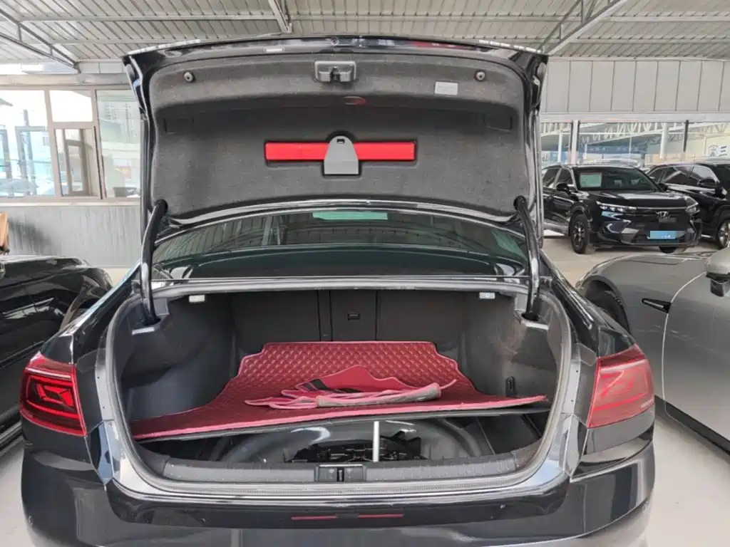 Volkswagen Magotan, миниатюра 19