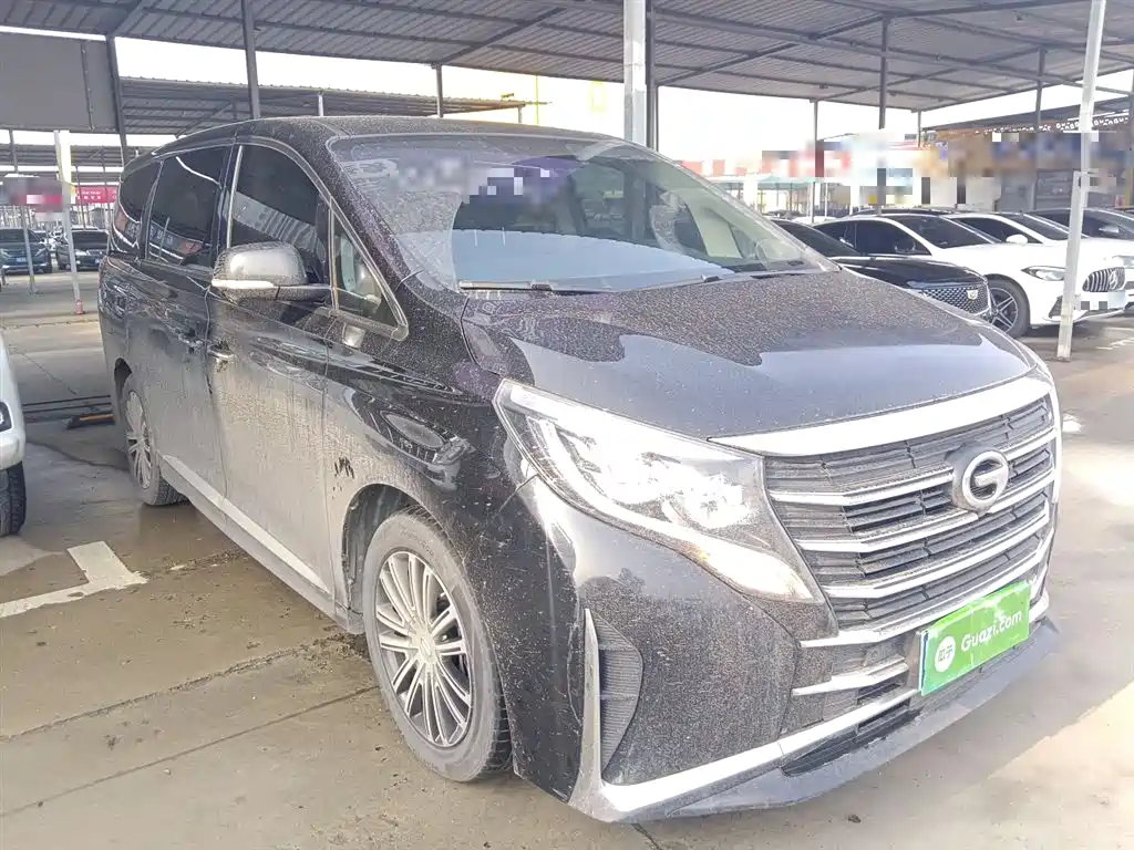 GAC Trumpchi Trumpchi M8 2021 Leading Show Series 390T Ultimate Edition фото 22