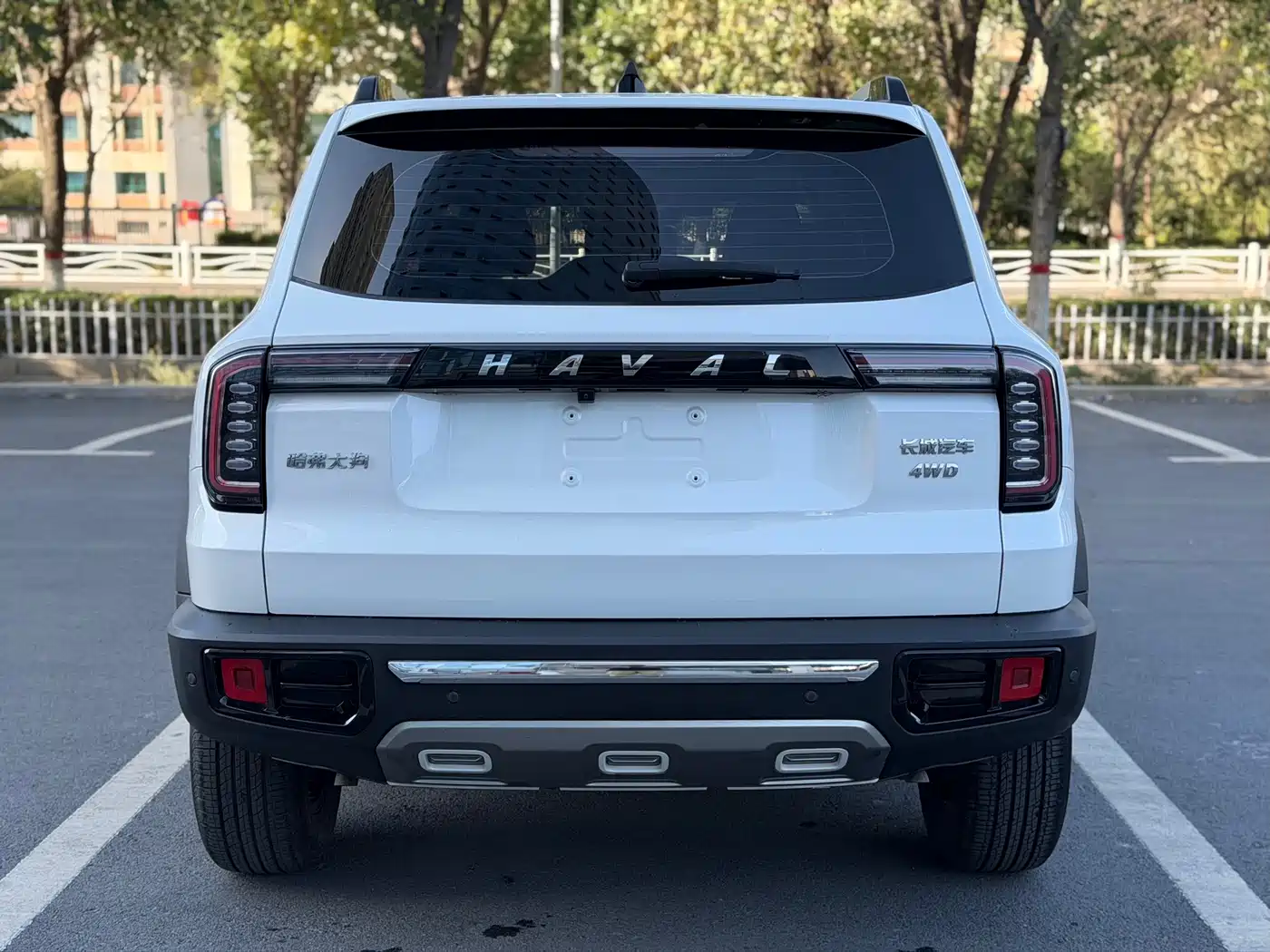 Haval Dargo 2021 2021 2.0T DCT 4WD Chinese Rural Dog Edition