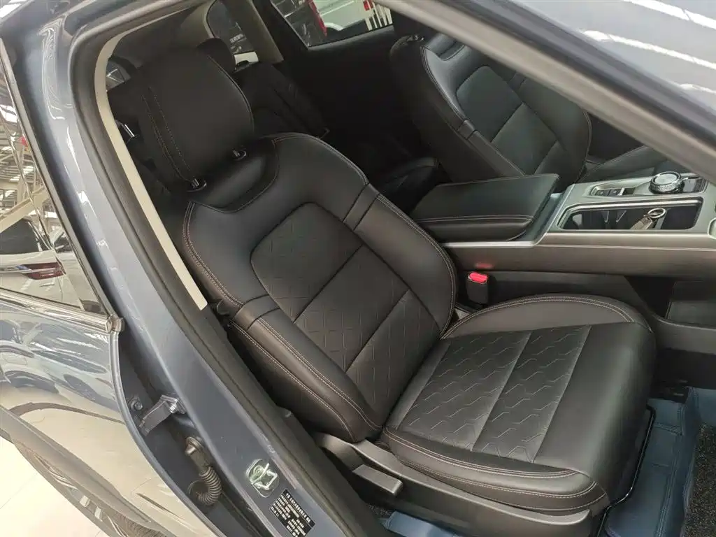 Haval Big Dog 2024 1.5T DCT Border Collie Edition фото 25