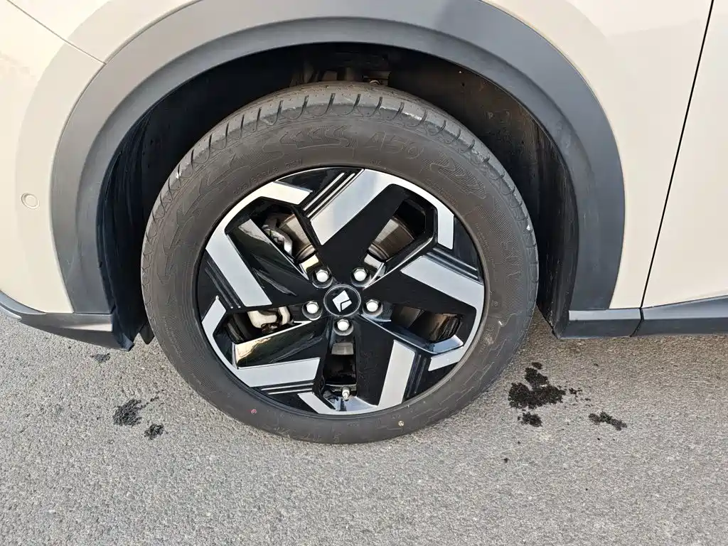 Baojun Yunhai 2024 2024 600km Pure Electric Version
