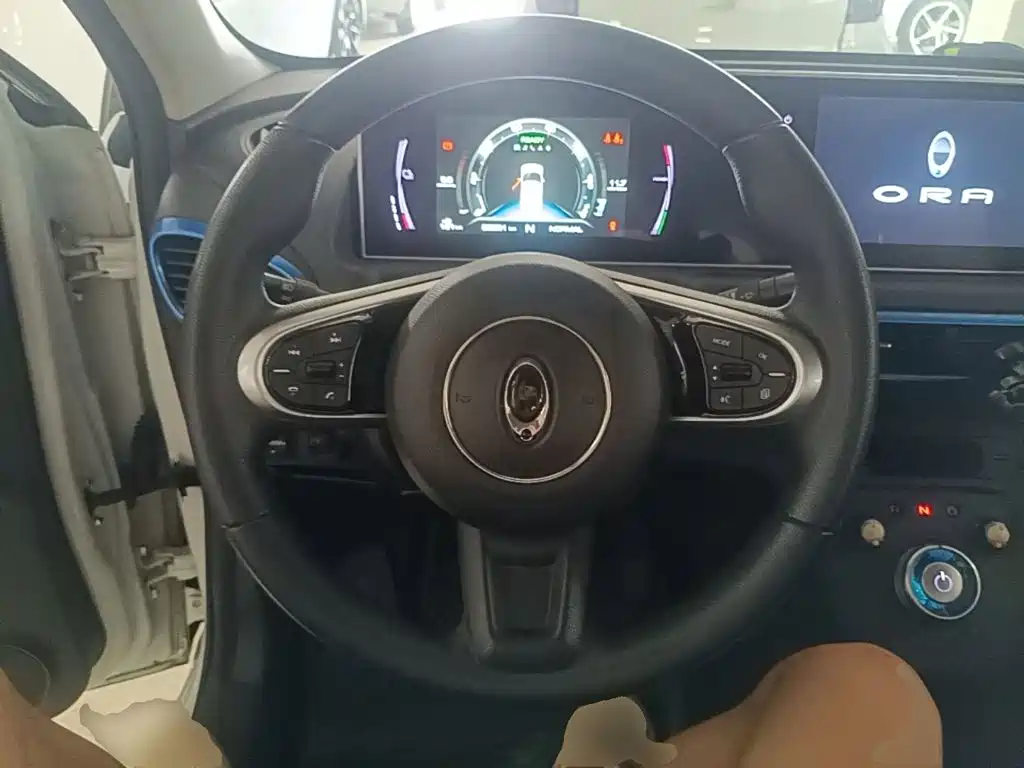 Ora White Cat 2021 2020 360km Luxury Model