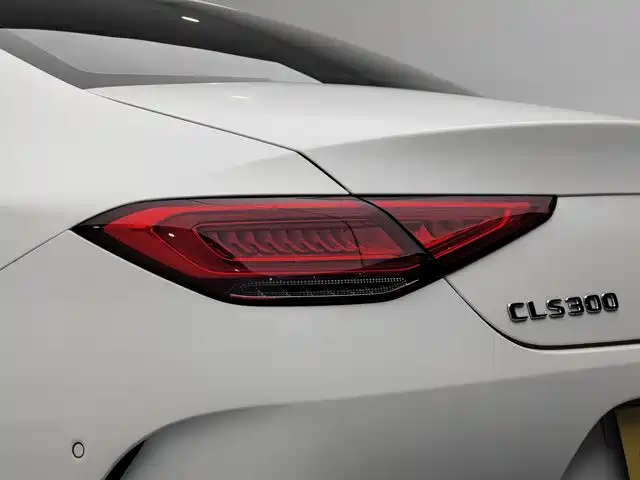 Mercedes-Benz CLS 2021 CLS 300 Sport фото 14