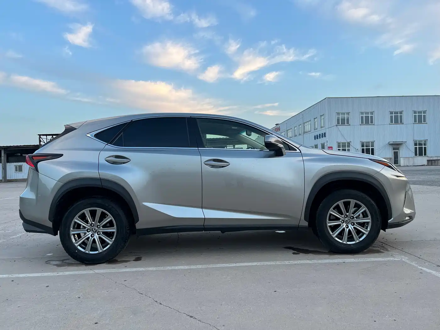Lexus NX 2018 Model 300 FWD Fengxing Edition фото 6
