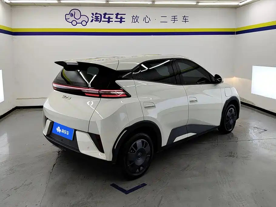 صورة 3 - BYD Seagull