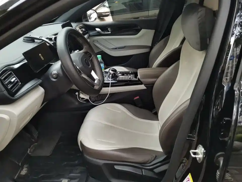 BYD Qin PLUS 2023 Champion Edition DM-i 55KM Leading фото 14
