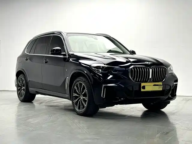 BMW X5 2022 2022 xDrive 30Li M Sport Package
