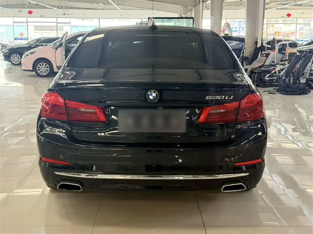 BMW 5 Series 2019 Facelift 530Li Premium Luxury Package фото 7