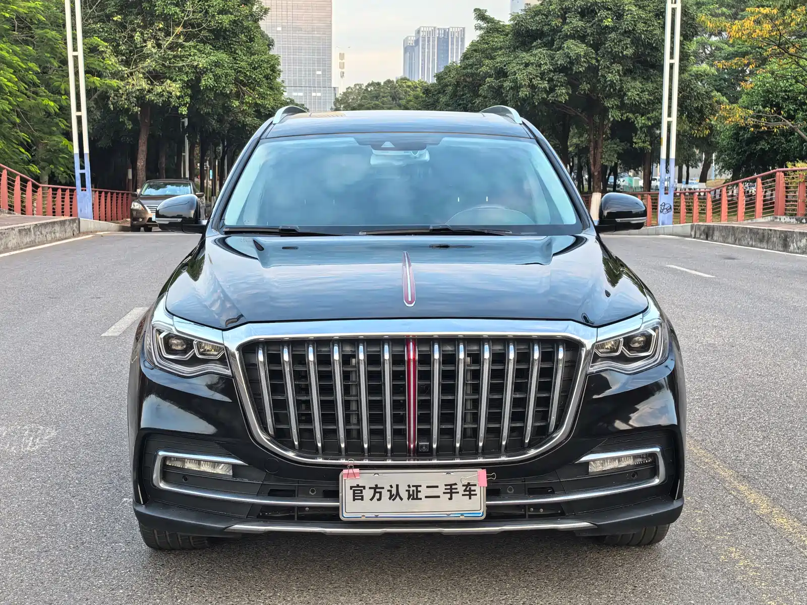 Photo 2 - Hongqi HS7