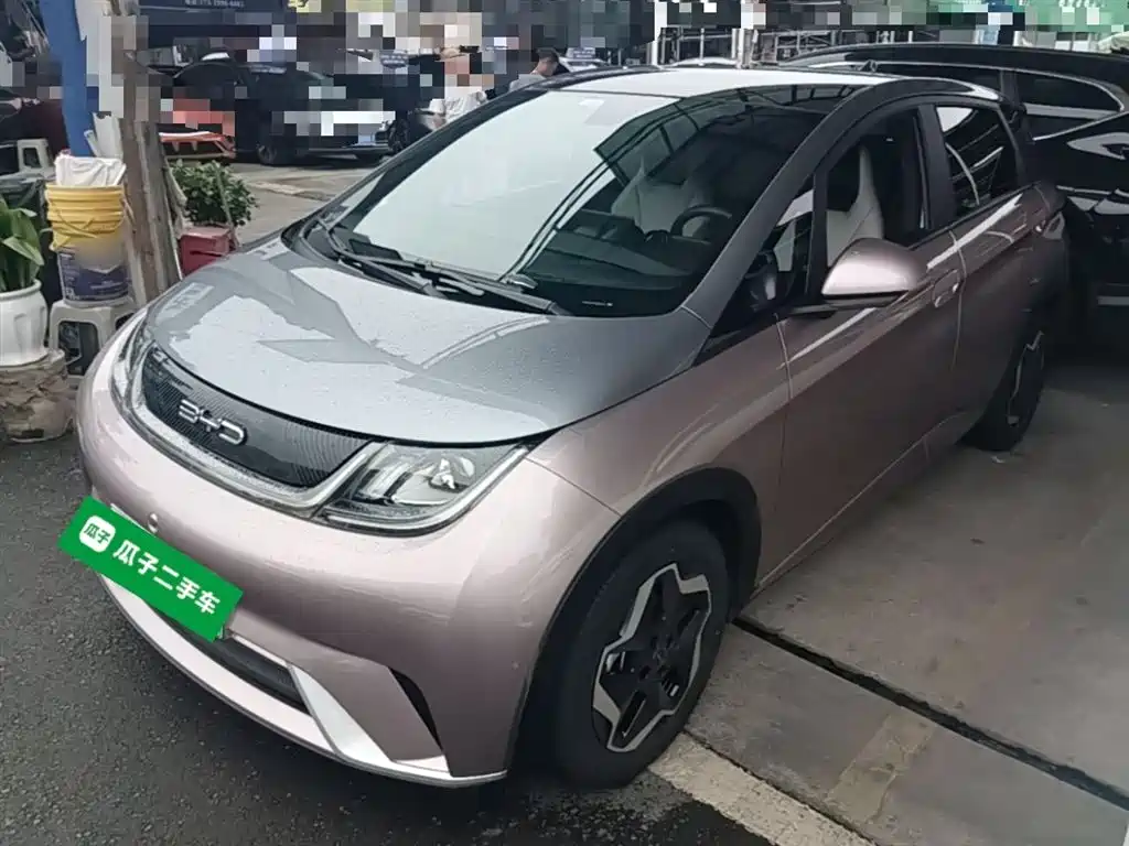 BYD Dolphin 2021 Model 405km Fashion Edition фото 2