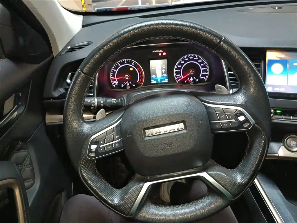 Haval H6 2020 2.0GDIT Automatic Platinum Champion Edition фото 7