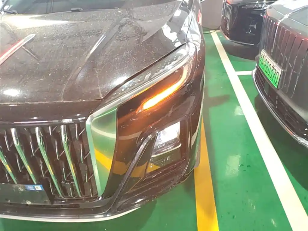 Hongqi HS3 PHEV 2024 PHEV 115km Power Edition фото 24