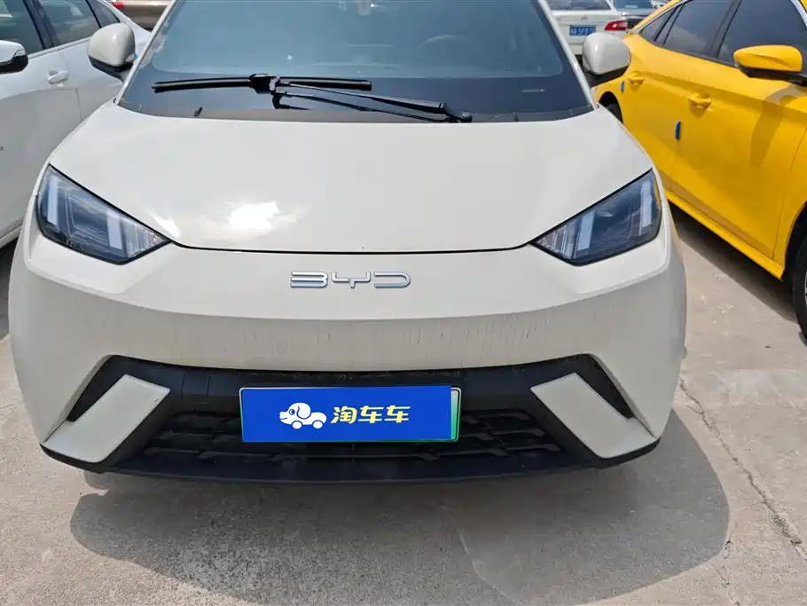 BYD Seagull 2023 Freedom Edition фото 2