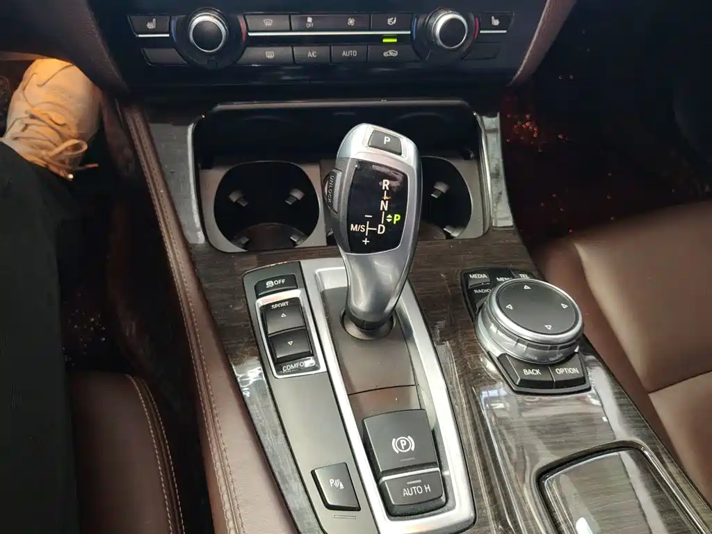 BMW 5 Series 2017 525Li Luxury Design Package фото 7