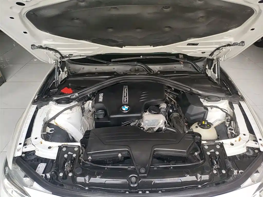 BMW 3 Series 2016 320Li Progressive фото 20