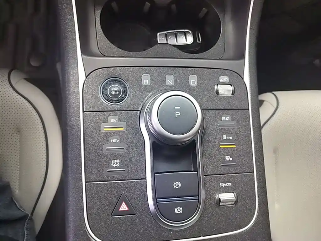 BYD Destroyer 05 2024 Glory Edition DM-i 55KM Luxury фото 14