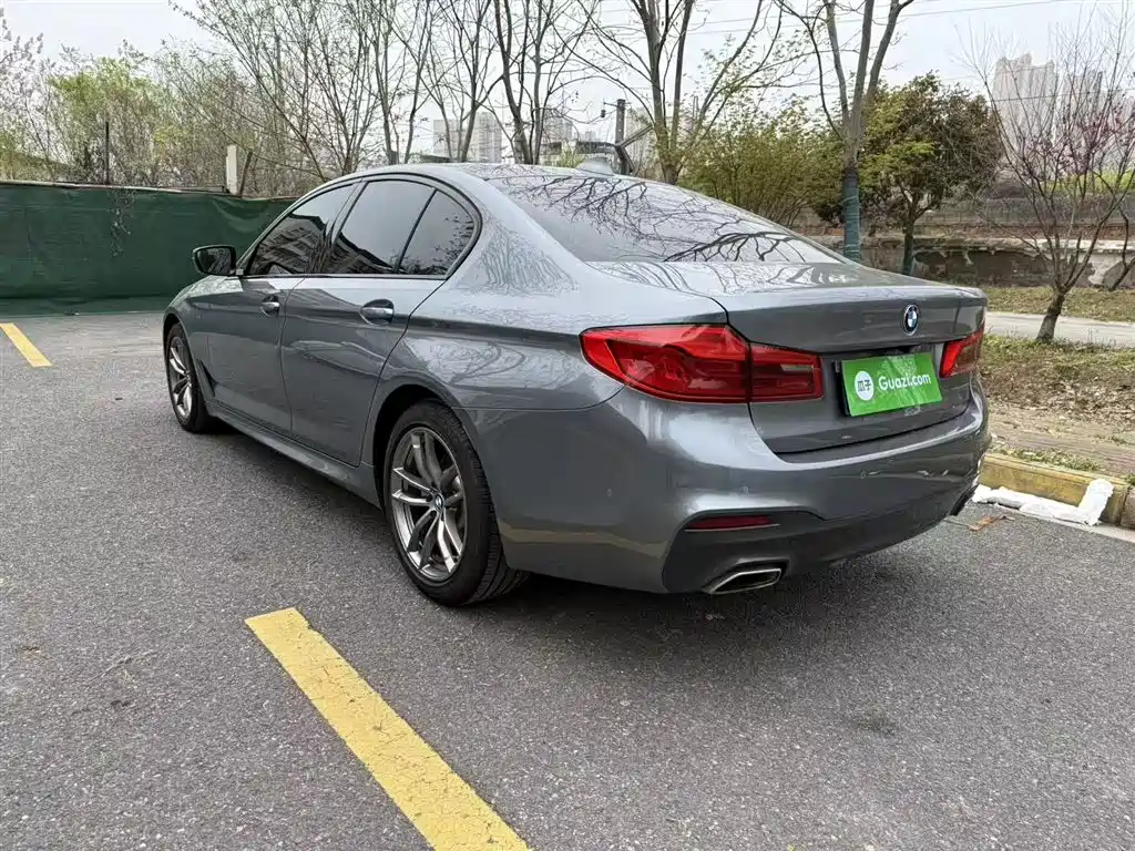 BMW 5 Series (Import) 2019 Facelift 525i M Sport Package фото 23