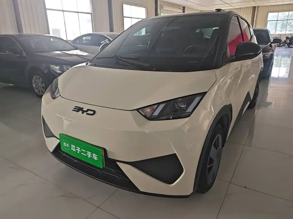 BYD Seagull 2025 Smart Drive Edition 305km Vitality Version