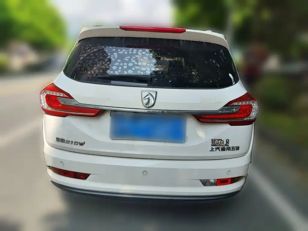 Фото 3 - Baojun 310W