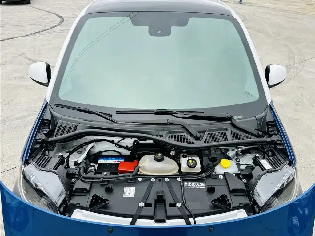 smart fortwo 2020 2019 0.9T 66kW Hardtop Wind Edition China VI