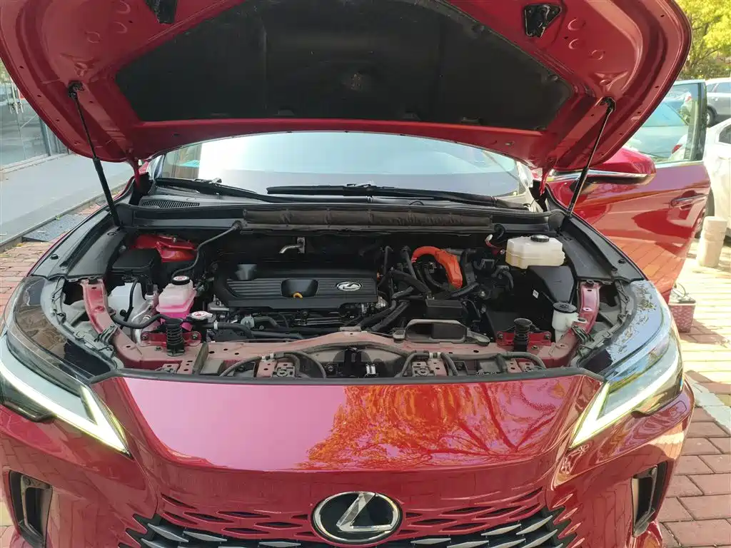 LEXUS RX