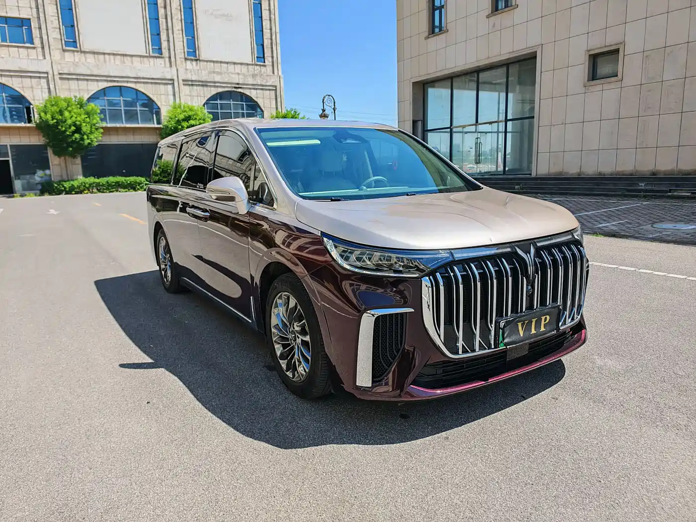 Voyah Auto Voyah Dreamer 2022 Low-carbon Dream+Smart Package фото 3