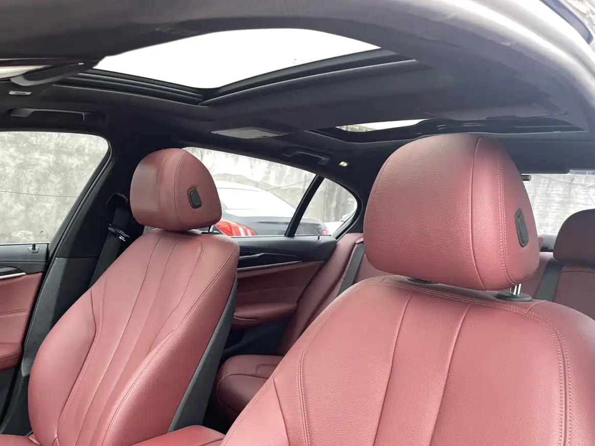 BMW 5 Series 2020 530Li Leading M Sport Package фото 8