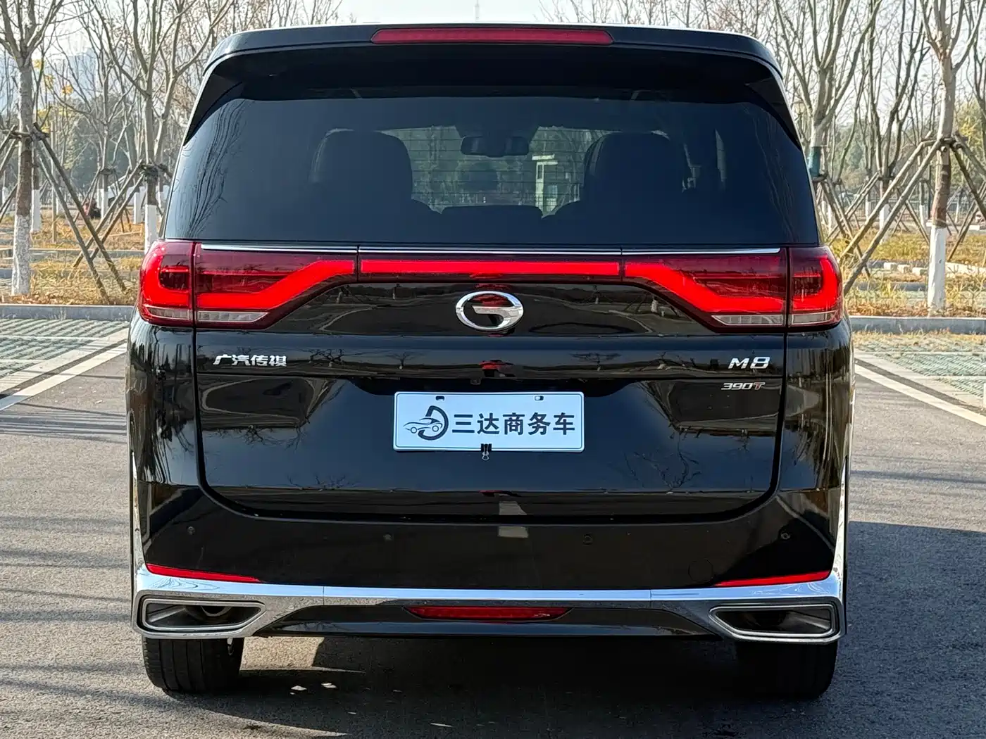 GAC TRUMPCHI M8