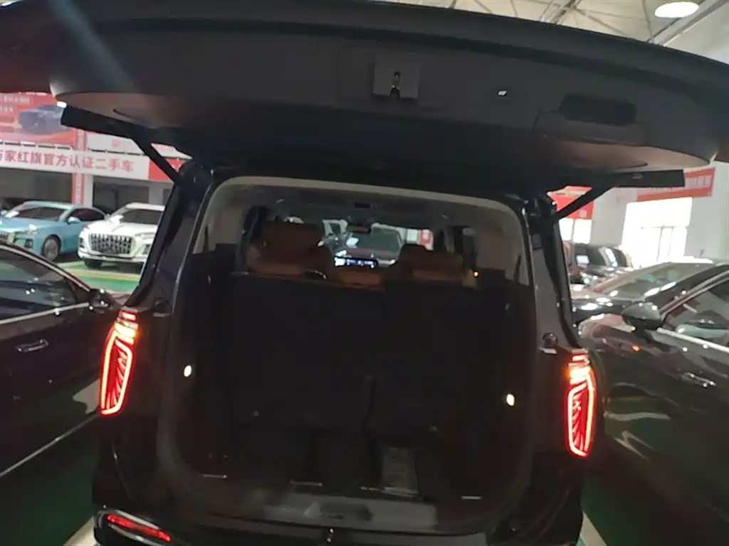 Hongqi HQ9 PHEV 2024 Model 2.0T AWD Business Edition фото 19