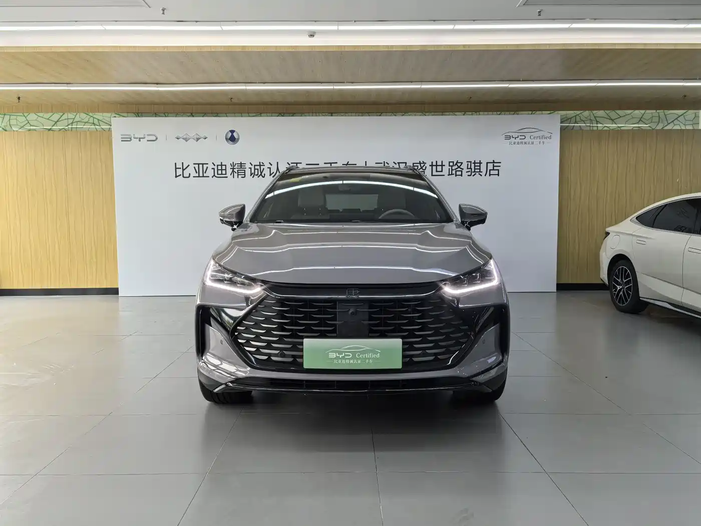 BYD Tang New Energy 2025 DM-i 115KM Flagship фото 5