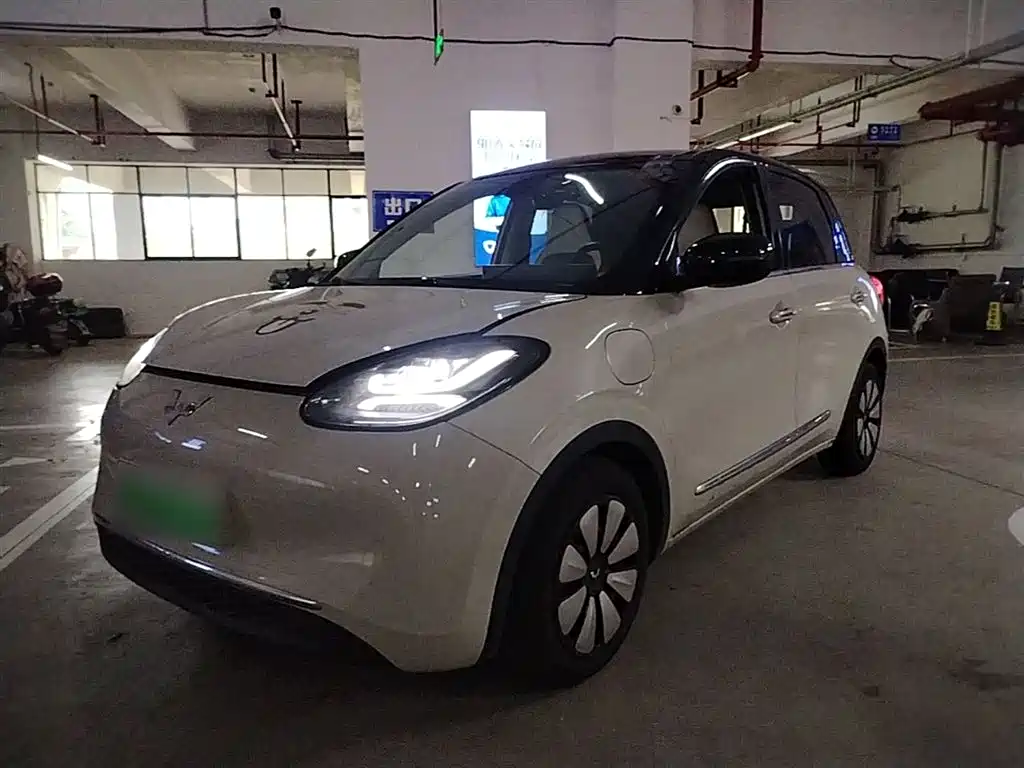 Wuling Motors Wuling Bingo 2023 333km Joyful Version