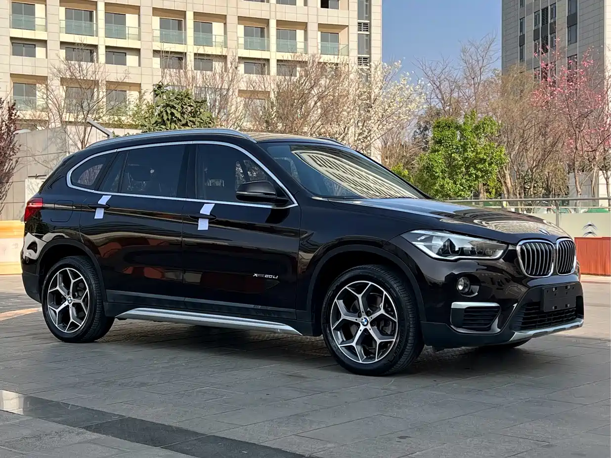 BMW X1 2018 xDrive20Li Premium Model фото 10