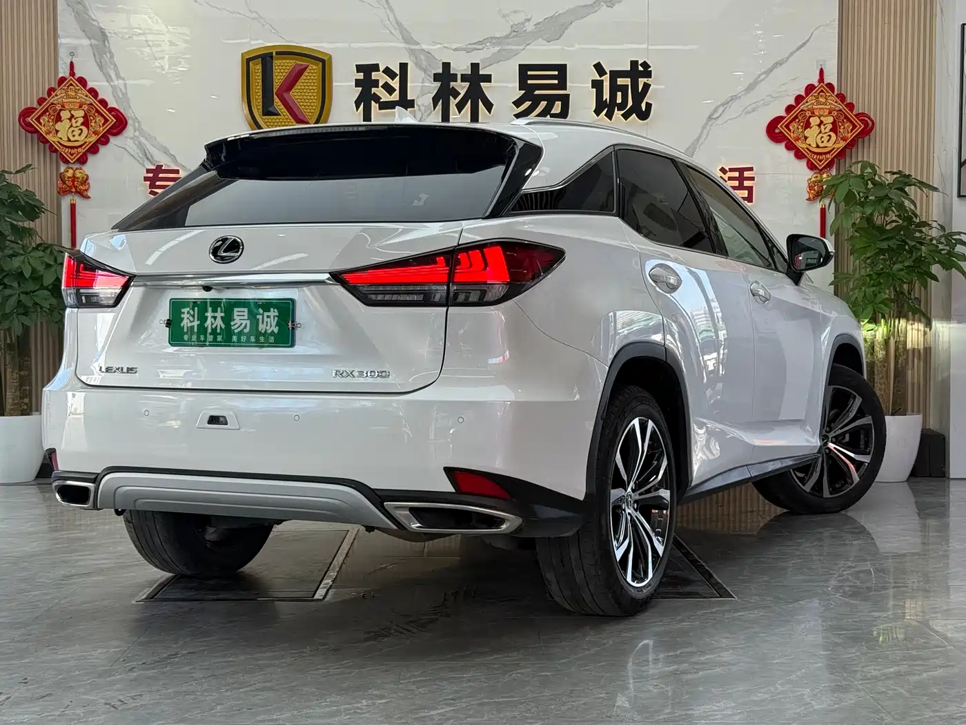 Lexus RX 2020 300 4WD Elegance Edition China VI фото 33