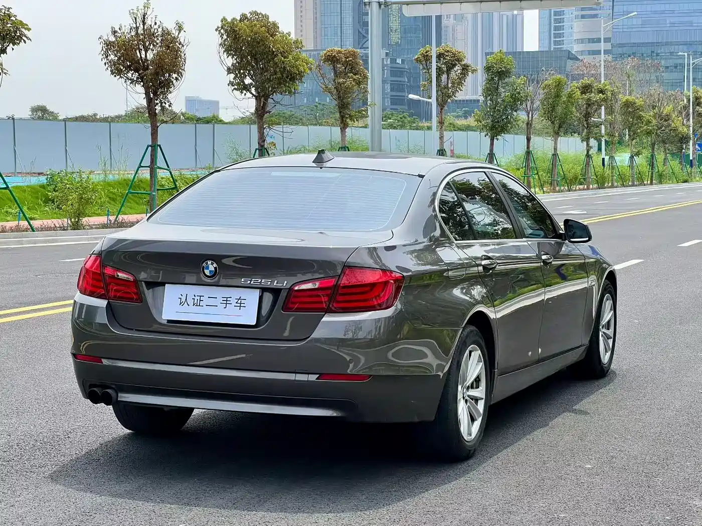 BMW 5 Series 2013 525Li Leadership фото 5