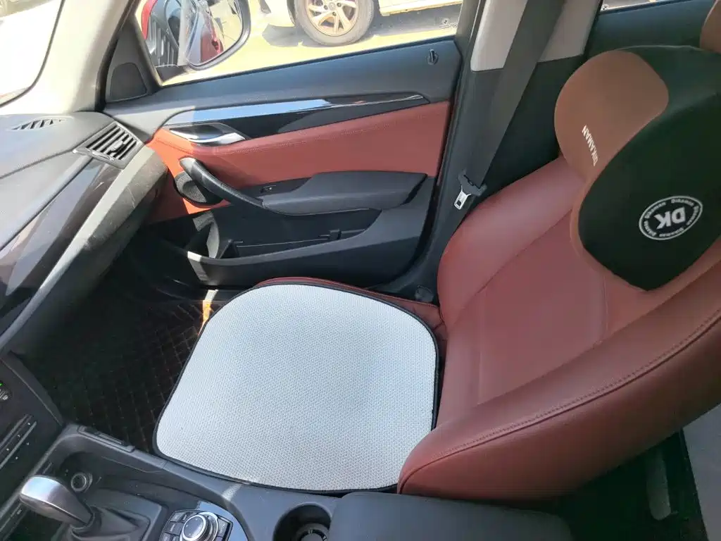 BMW X1 (Import) 2011 2010 sDrive18i Luxury Model