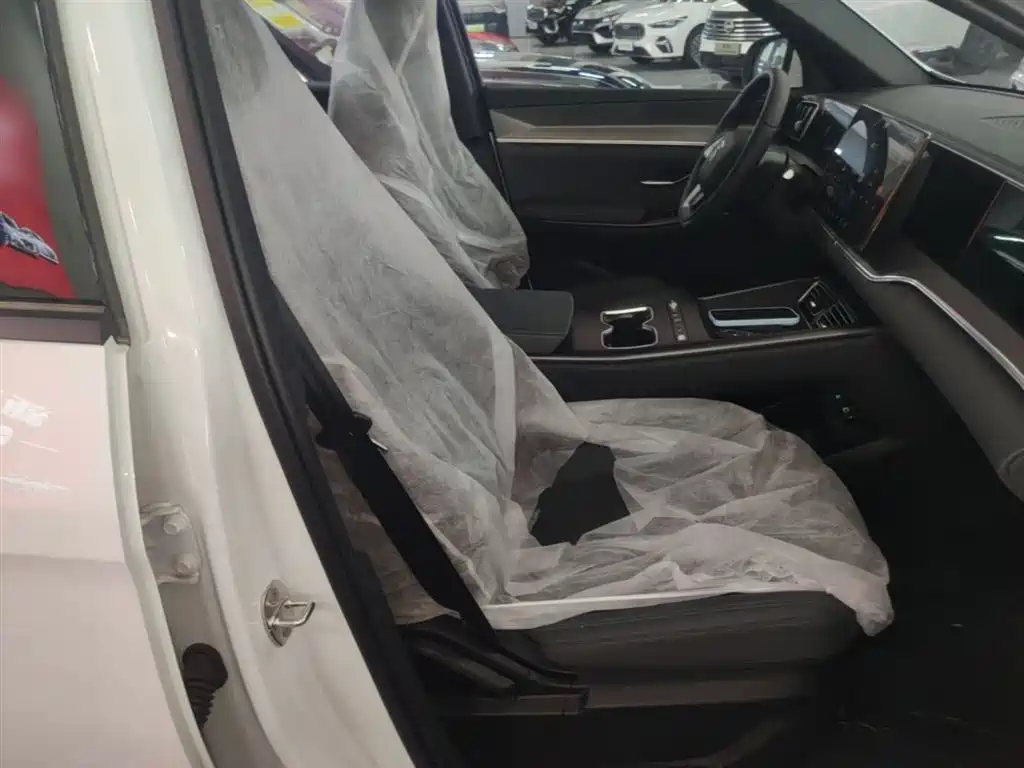 BYD Song Pro New Energy 2026 DM-i 133KM Progressive фото 25