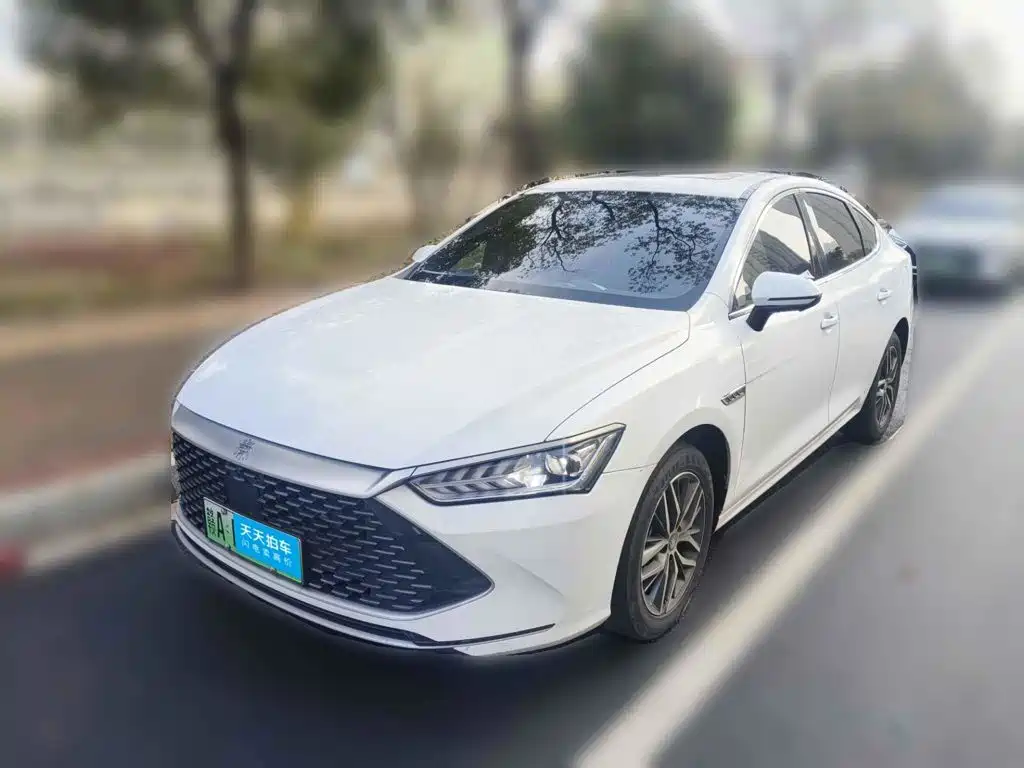 BYD Qin PLUS 2023 Champion Edition DM-i 120KM Excellence