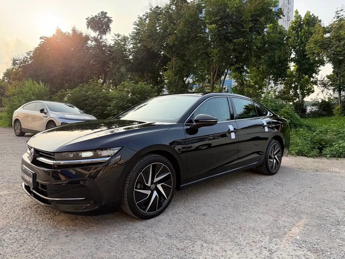 Volkswagen Magotan 2024 380TSI DSG Ultimate Edition