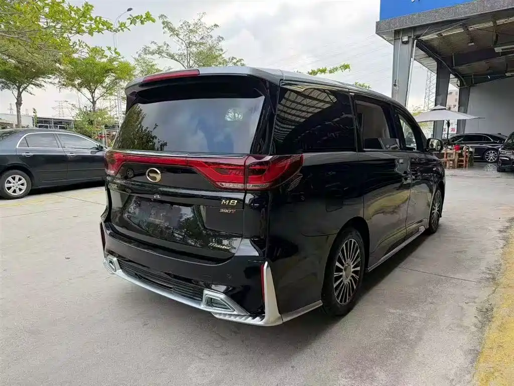 GAC Trumpchi Trumpchi M8 2021 Master Series 390T 4-Seat Premium Edition фото 13
