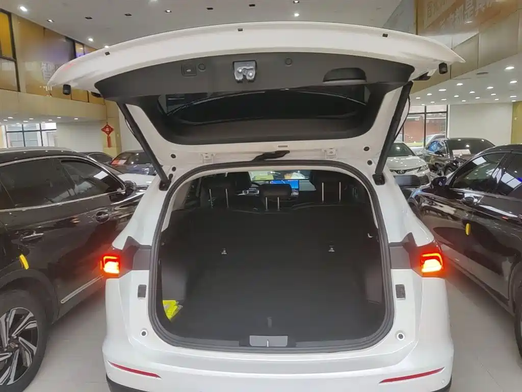 Haval H6 2024 2.0T 2WD Max фото 19