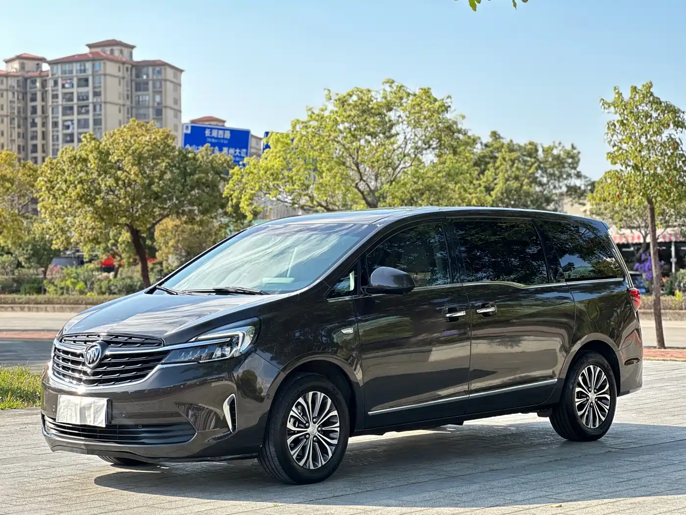 Buick GL8 2020 Land Business Class 652T Premium