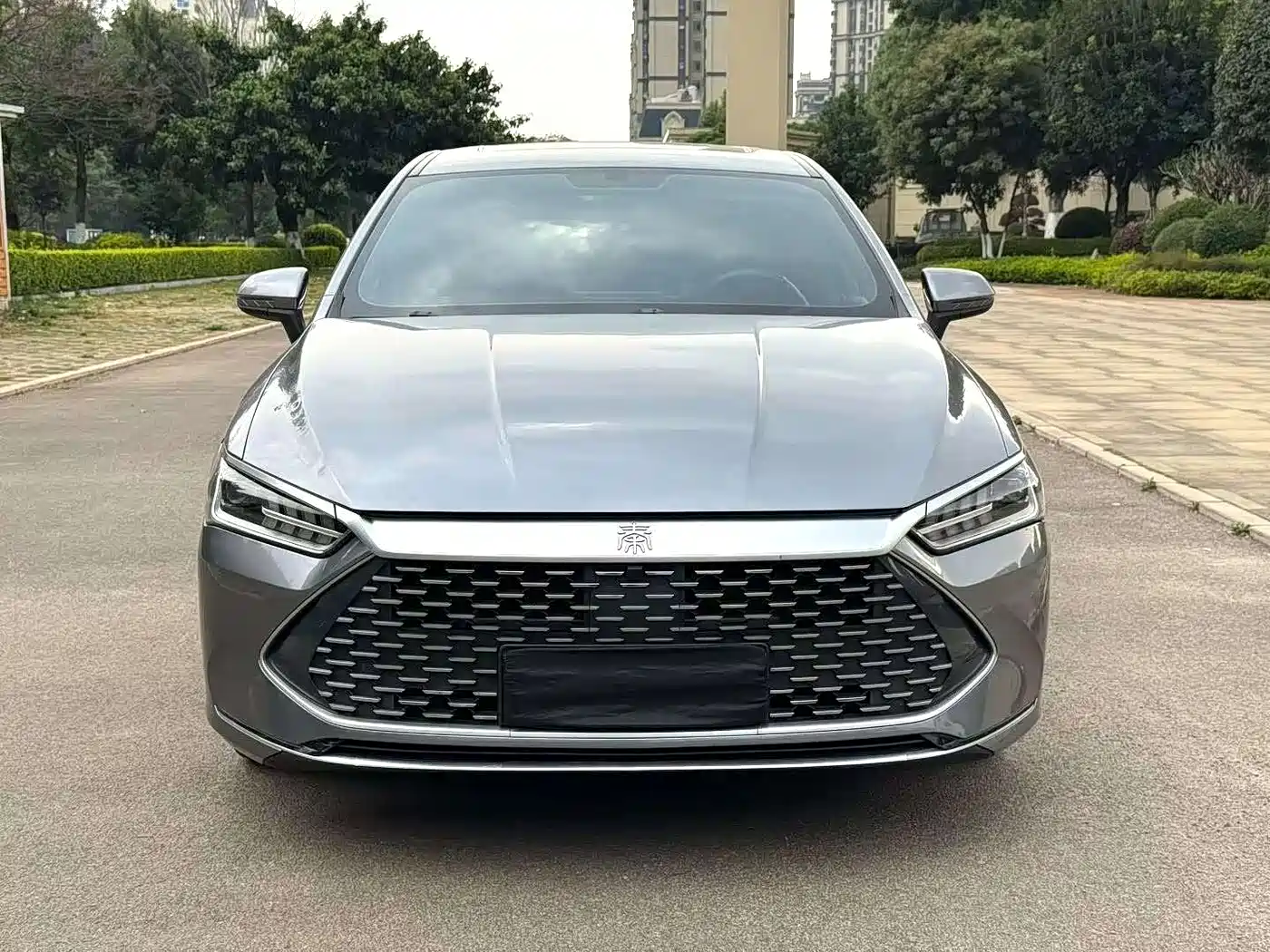 BYD Qin PLUS 2021 DM-i 55KM Flagship фото 2