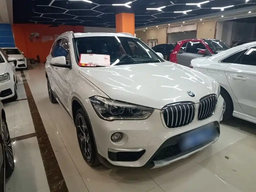 BMW X1 2016 sDrive20Li Luxury Model фото 4