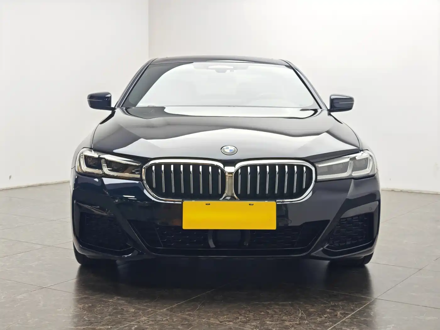 BMW 5 SERIES NEW ENERGY